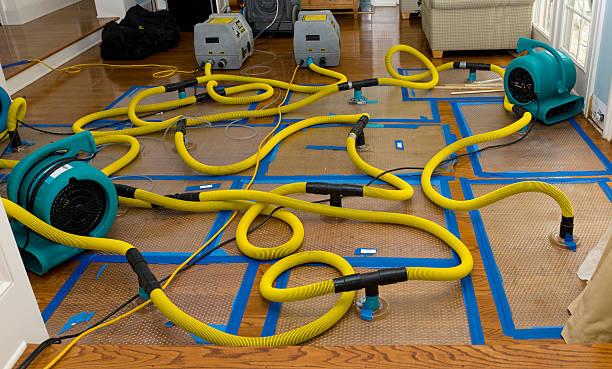 Professional Crawl Space Water Removal technician working in Vandalia, MO